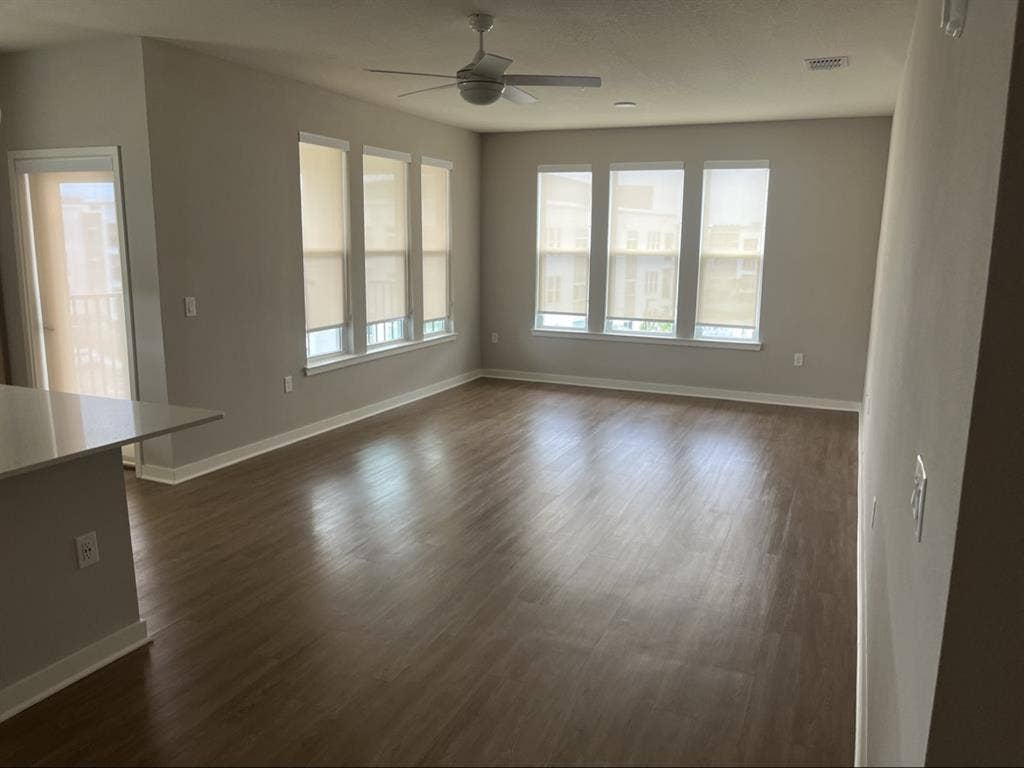 Looking for a professional roommate