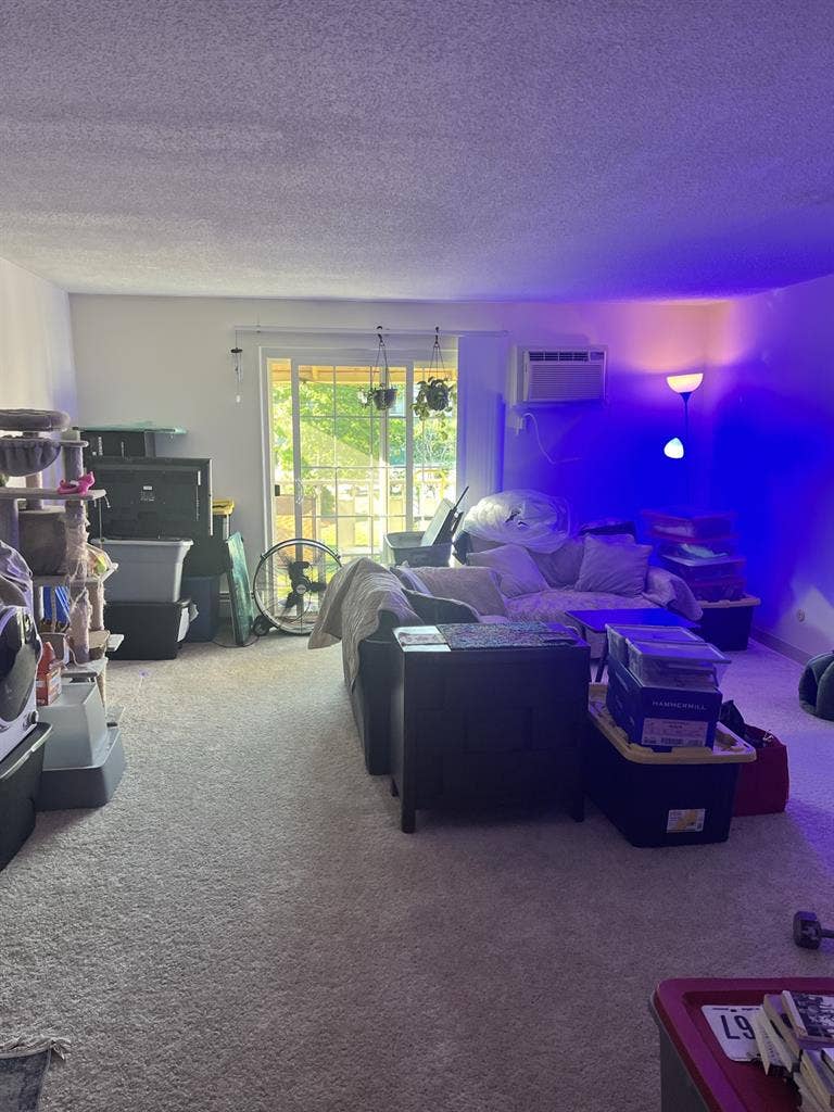 Roommate wanted