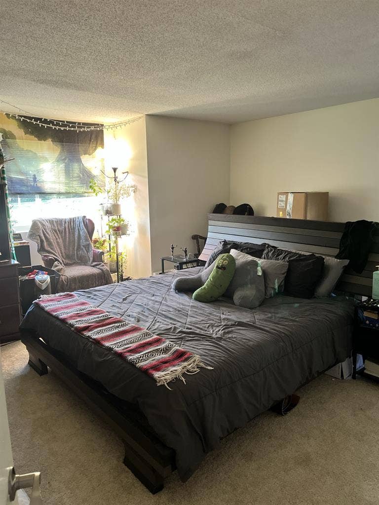 Roommate wanted