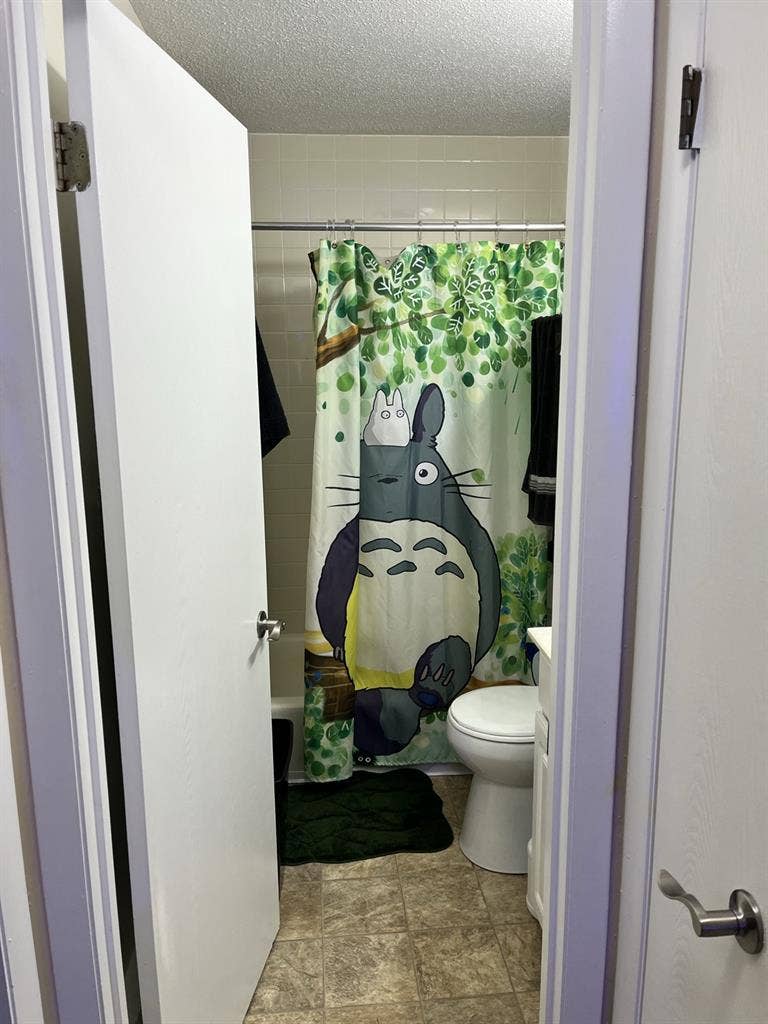 Roommate wanted