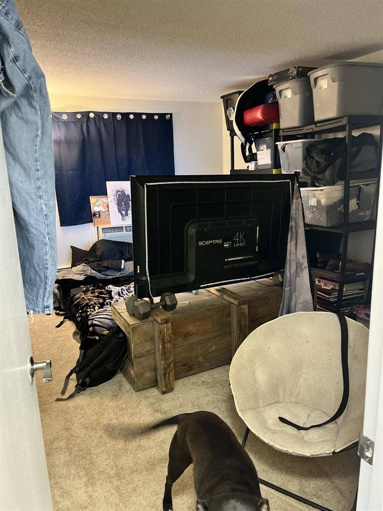 Roommate wanted