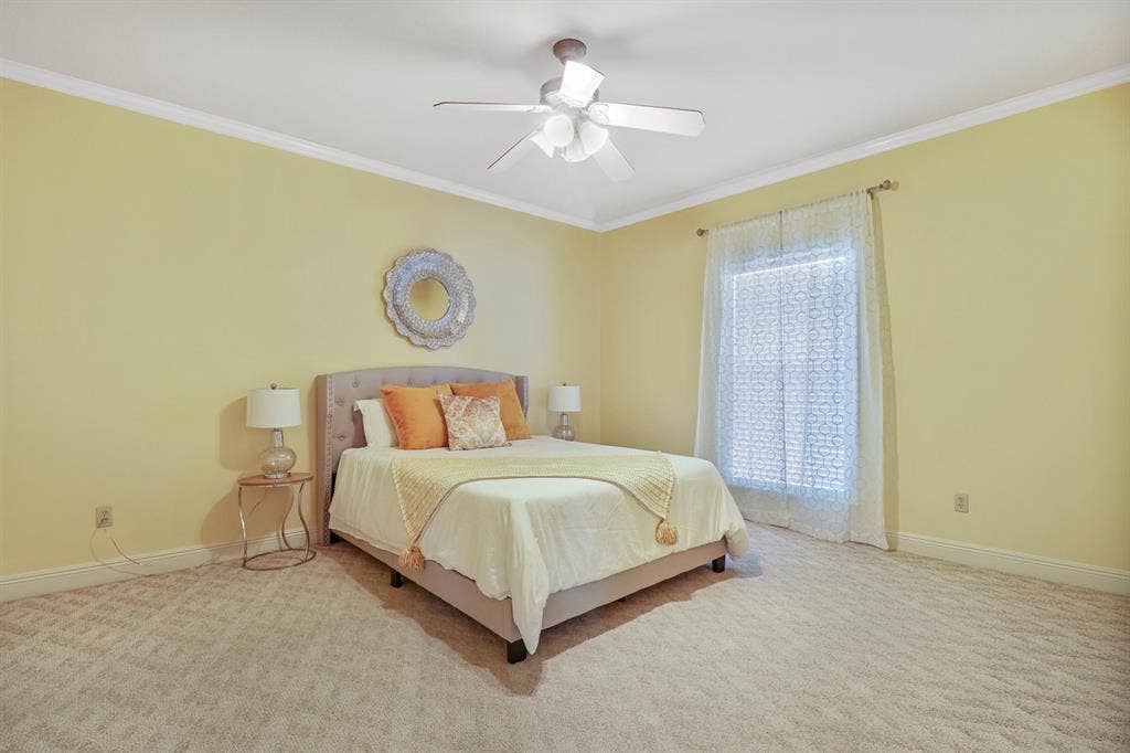 Two guest rooms for rent