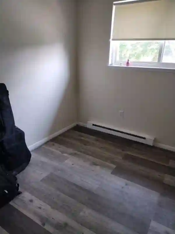 Beautiful, Sunny room for rent