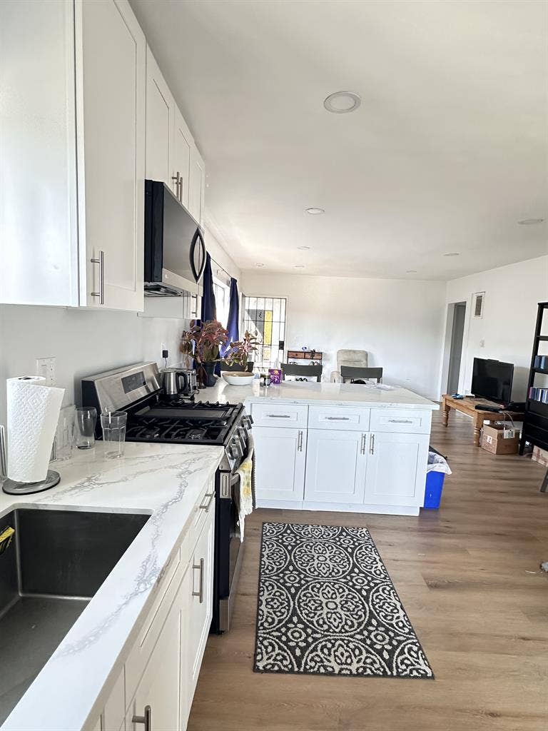 Room in Palms Creative Cat-Friendly