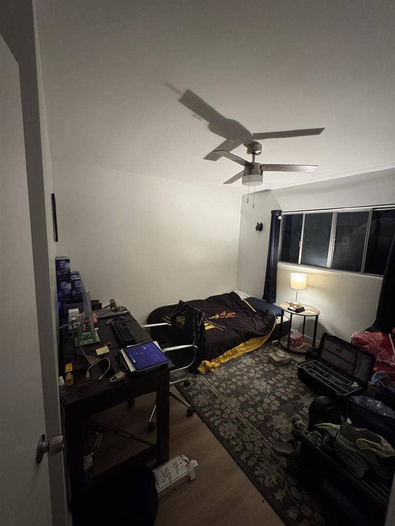 Room in Palms Creative Cat-Friendly