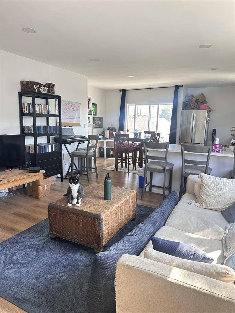 Room in Palms Creative Cat-Friendly