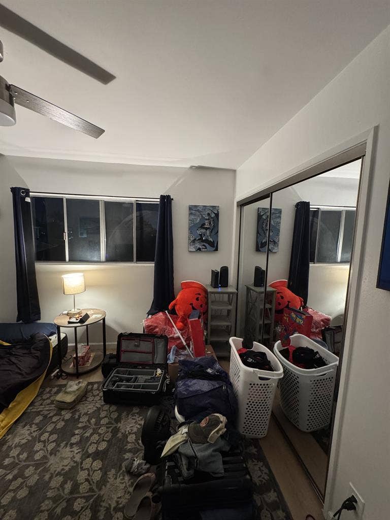 Room in Palms Creative Cat-Friendly