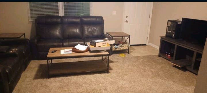 Female roommate wanted