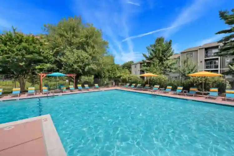 Room for rent 2br 1ba Reston $1100.