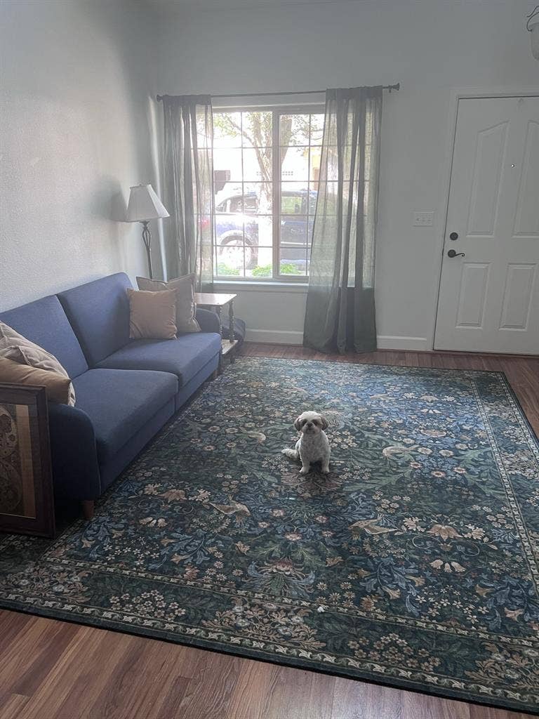Looking for a roommate!