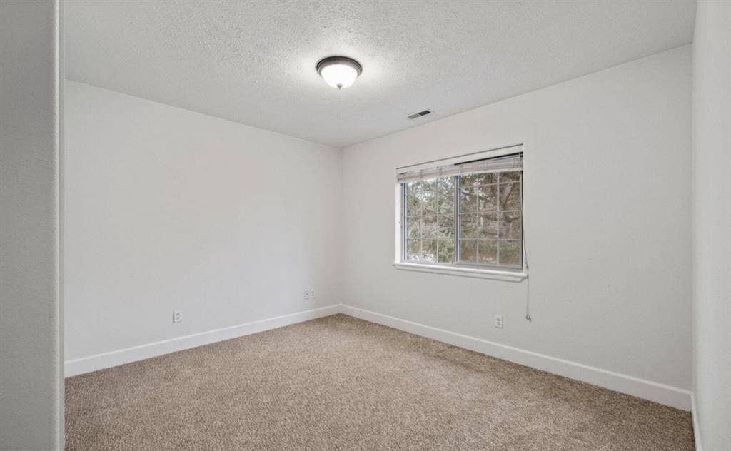 Looking for a roommate!
