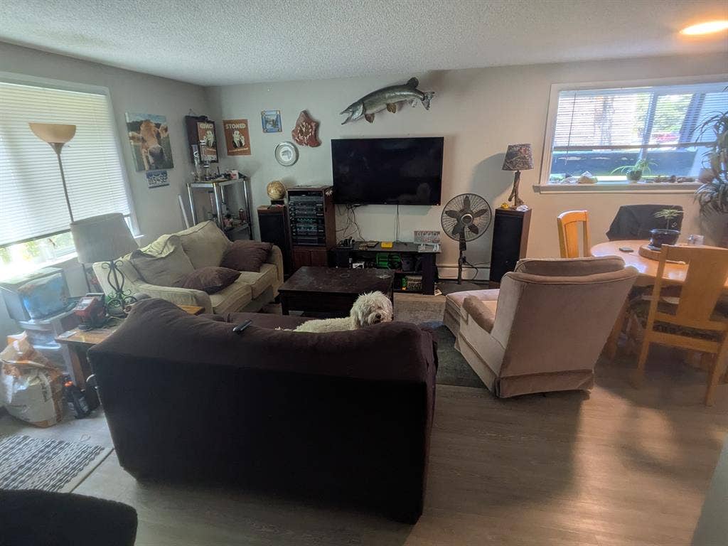 Cheap room available July 1st