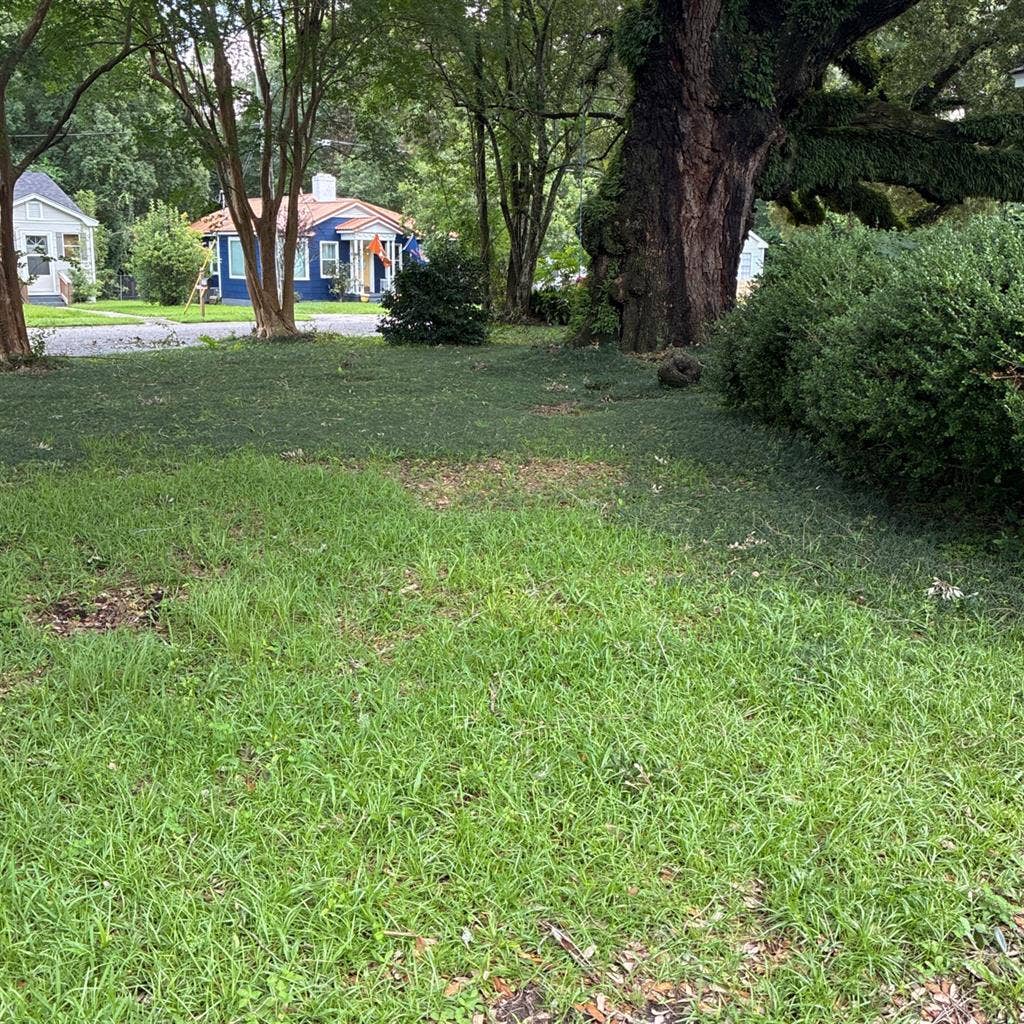 Cute midtown 3/1 home. Quiet!