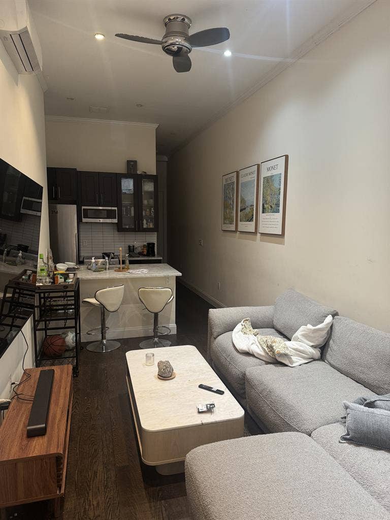 4 BR Apt w/ Patio in Williamsburg