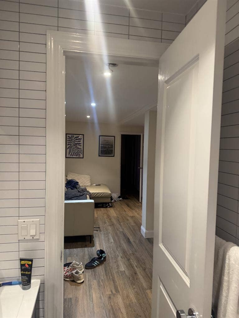 4 BR Apt w/ Patio in Williamsburg