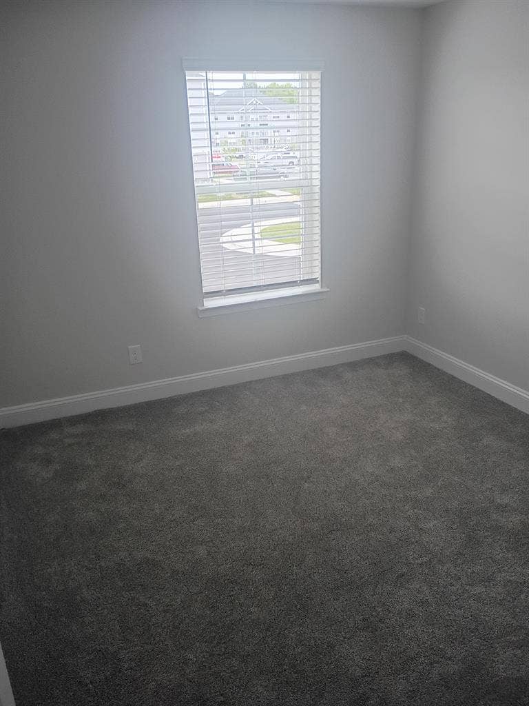 Roommate Needed in Easton, MD
