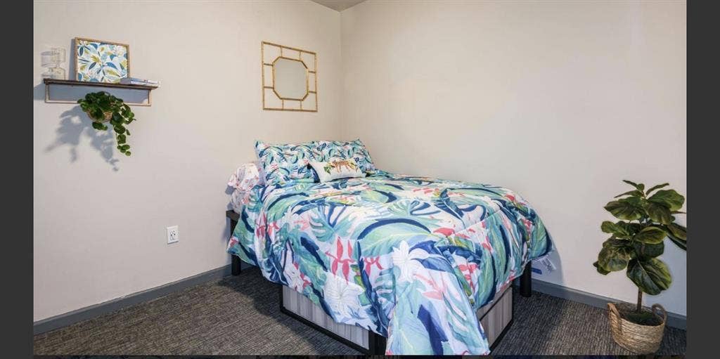 Apartment Rental near USF