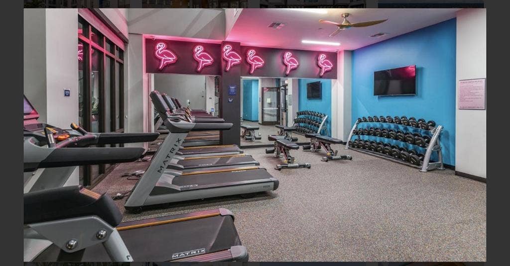 Apartment Rental near USF