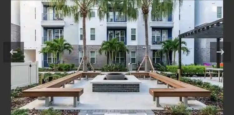 Apartment Rental near USF