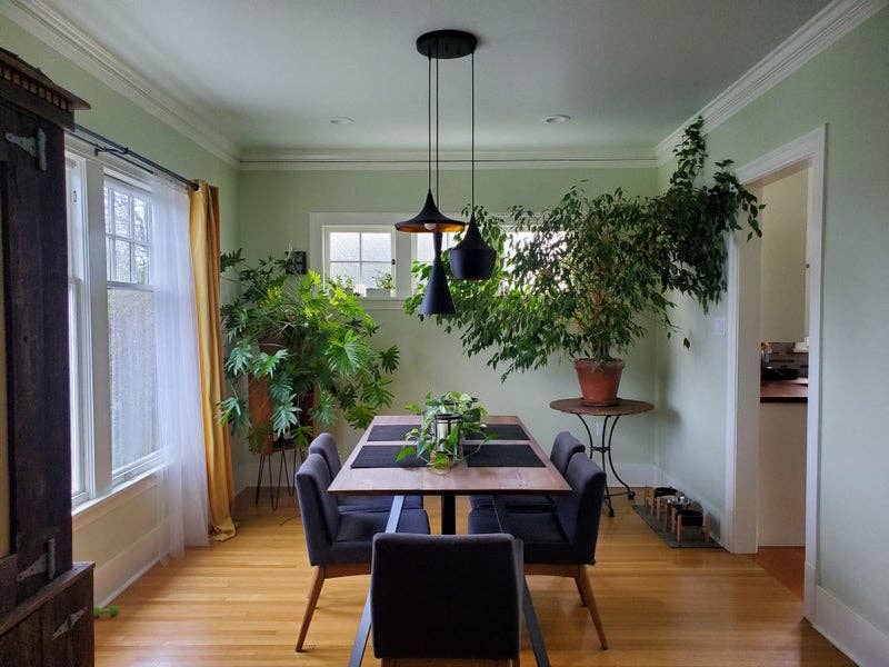 1 large bedroom in LGBTQ+ household