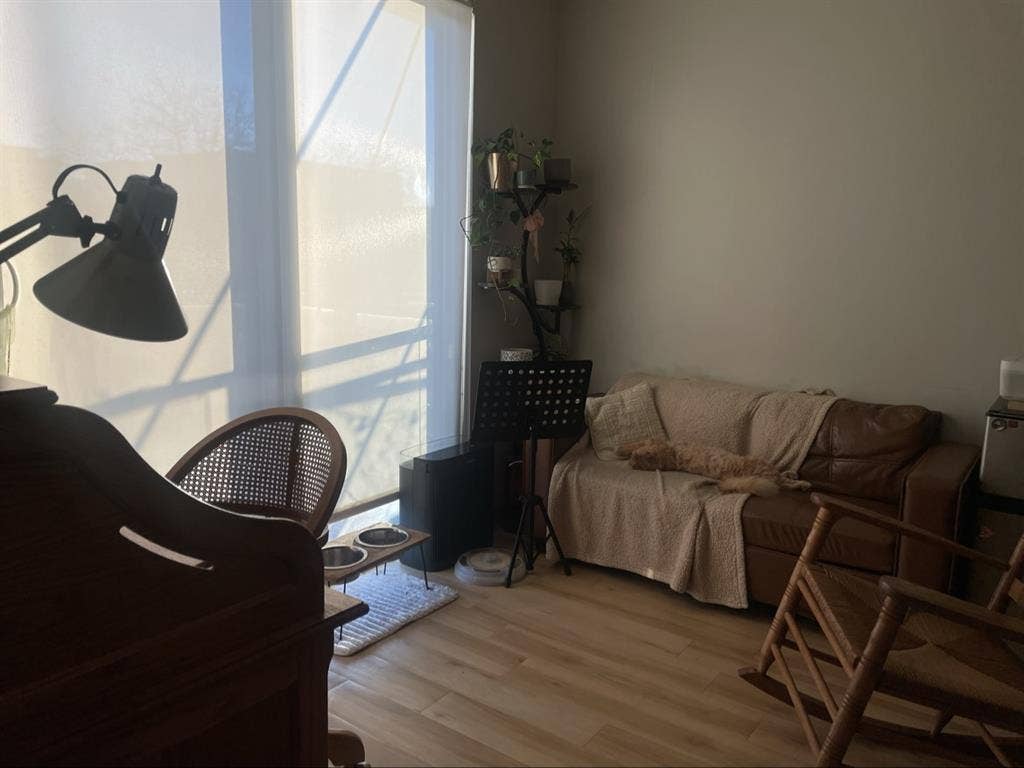 Looking for a roommate ASAP