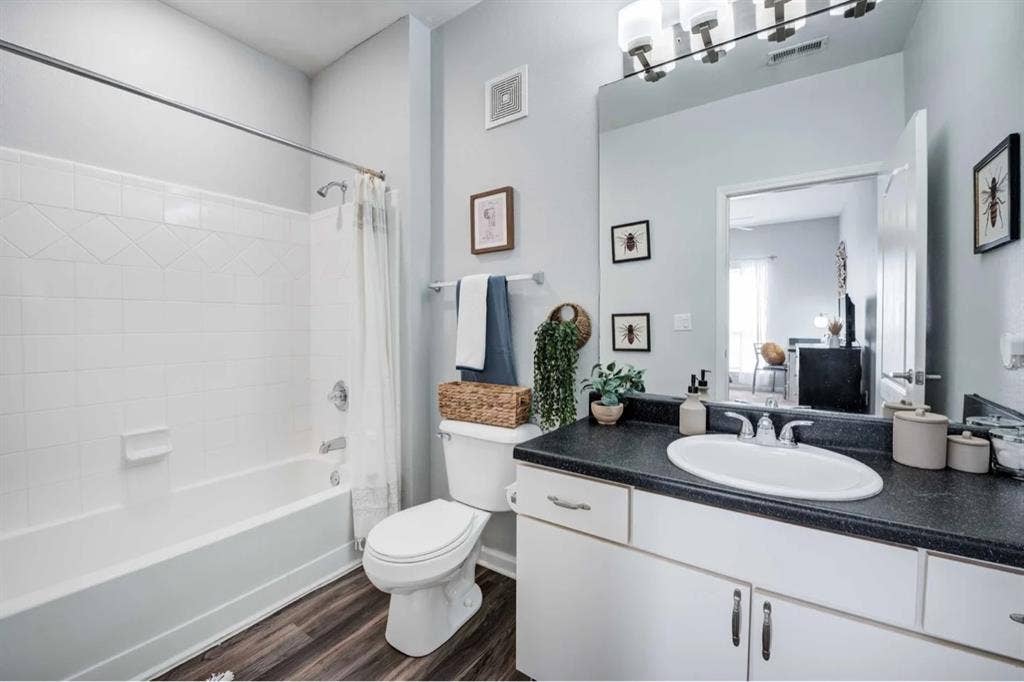 1 bed / 1 bath available