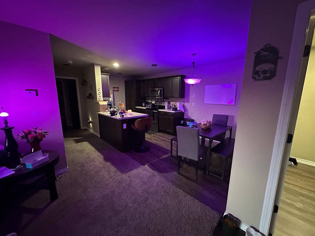 Private 1b/1ba Apartment Sublease