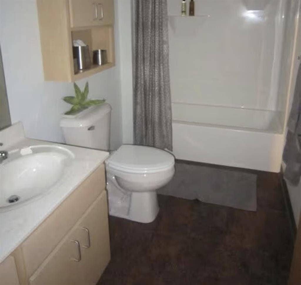 UW Madison 3 bdrm 2ba avail 8.15!