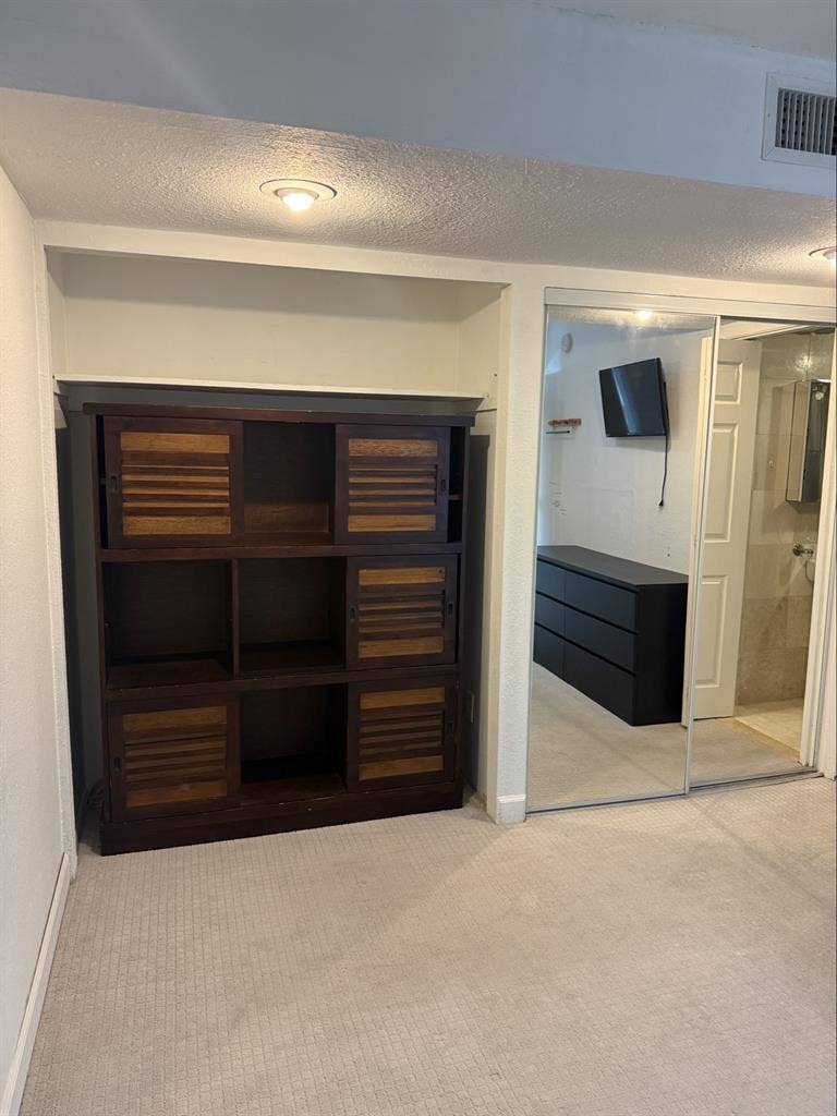 Looking for a roommate