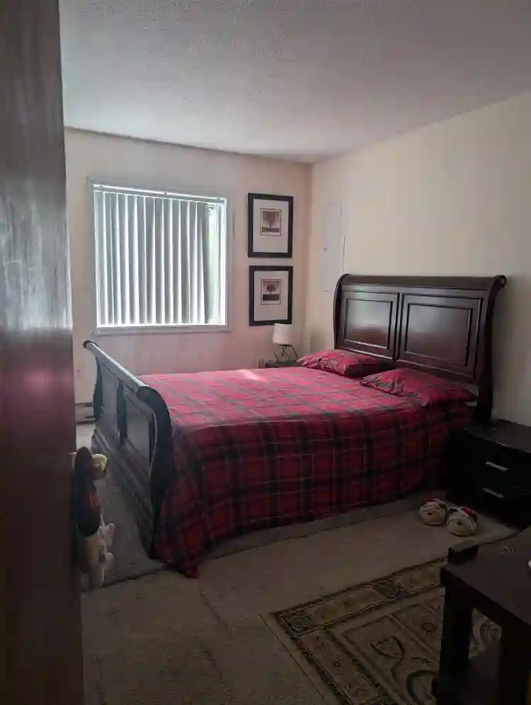 Furnished or unfurnished