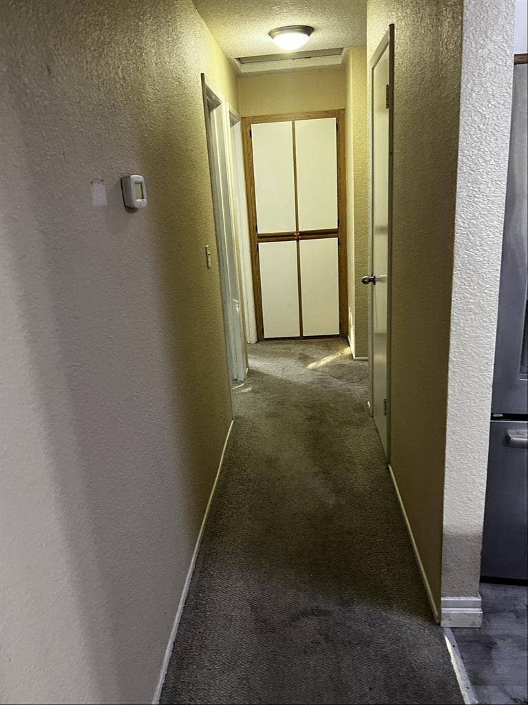Room Available In Nice Complex