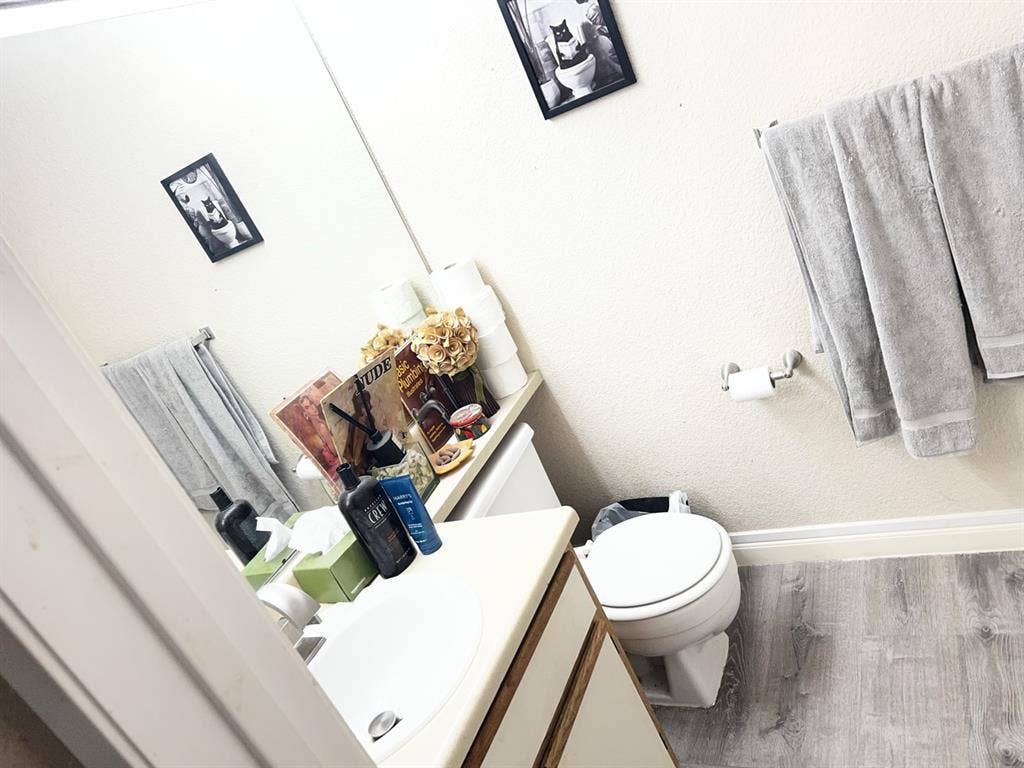 Room Available In Nice Complex