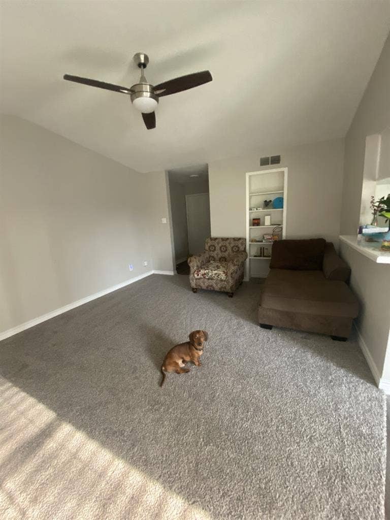 Roommate needed asap