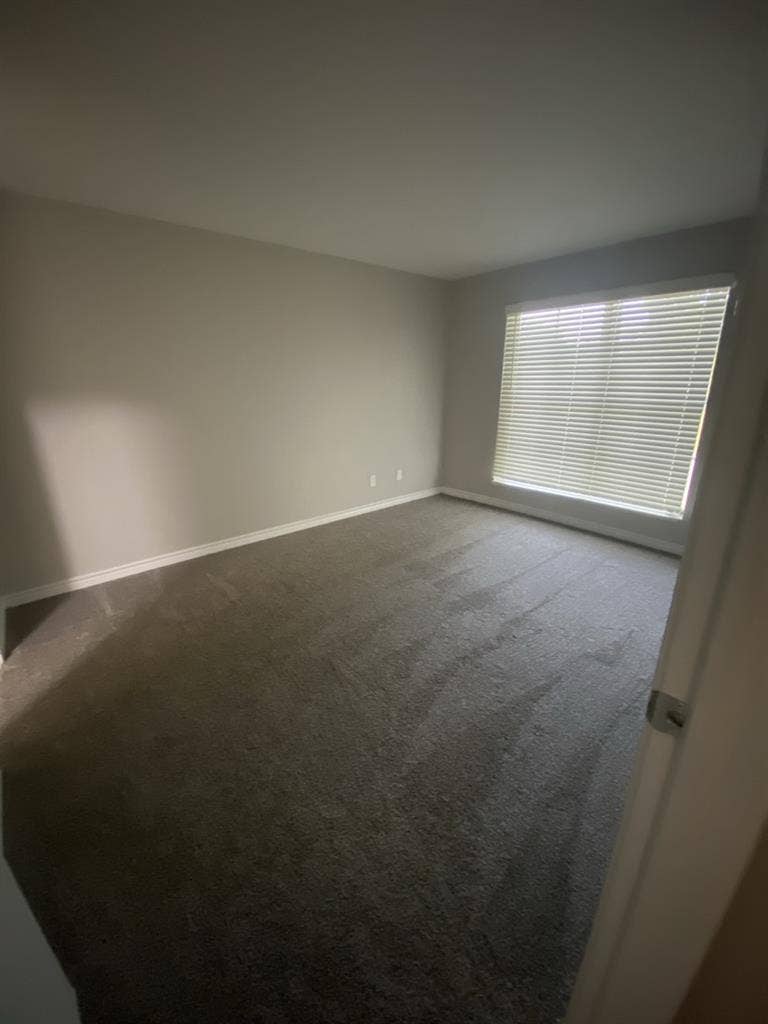 Roommate needed asap