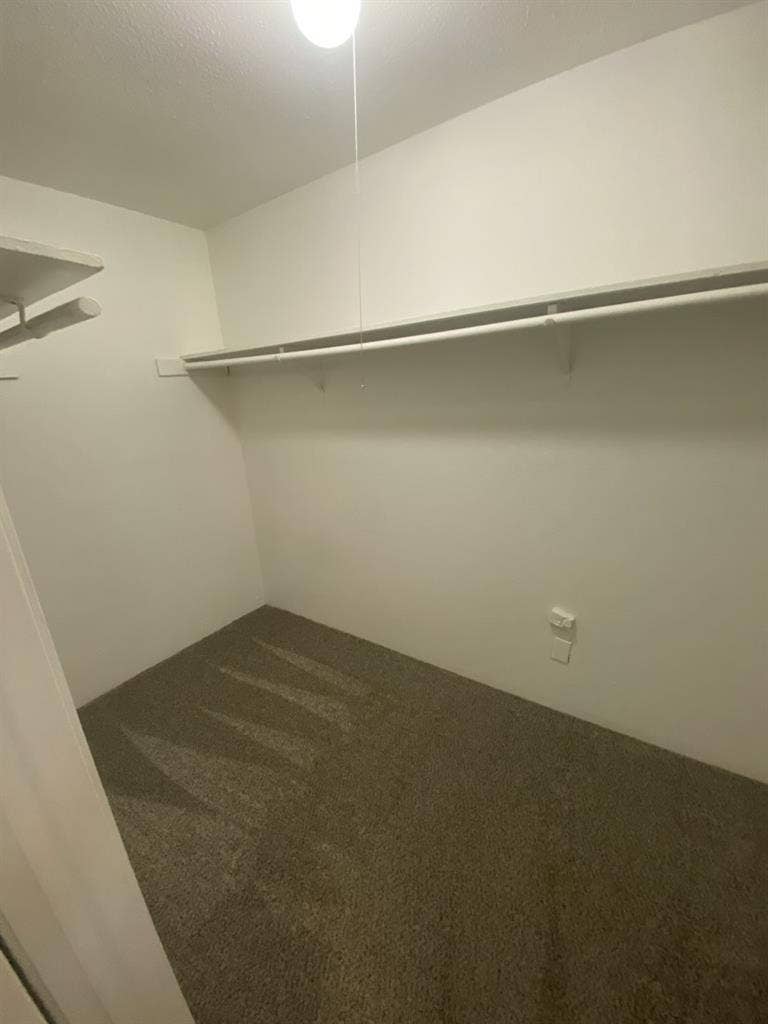 Roommate needed asap