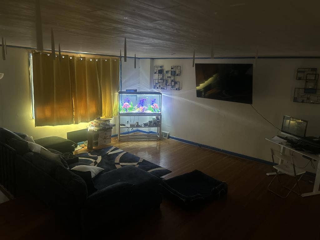 Room for rent