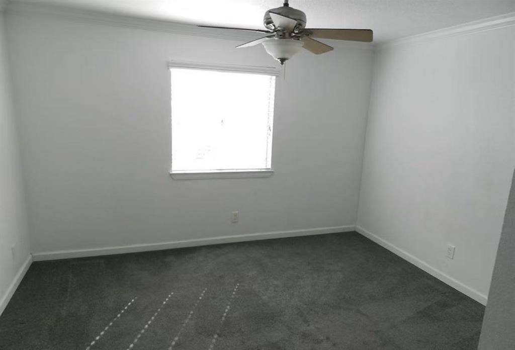 Master Bedroom Near UCSD|10-Min Bus