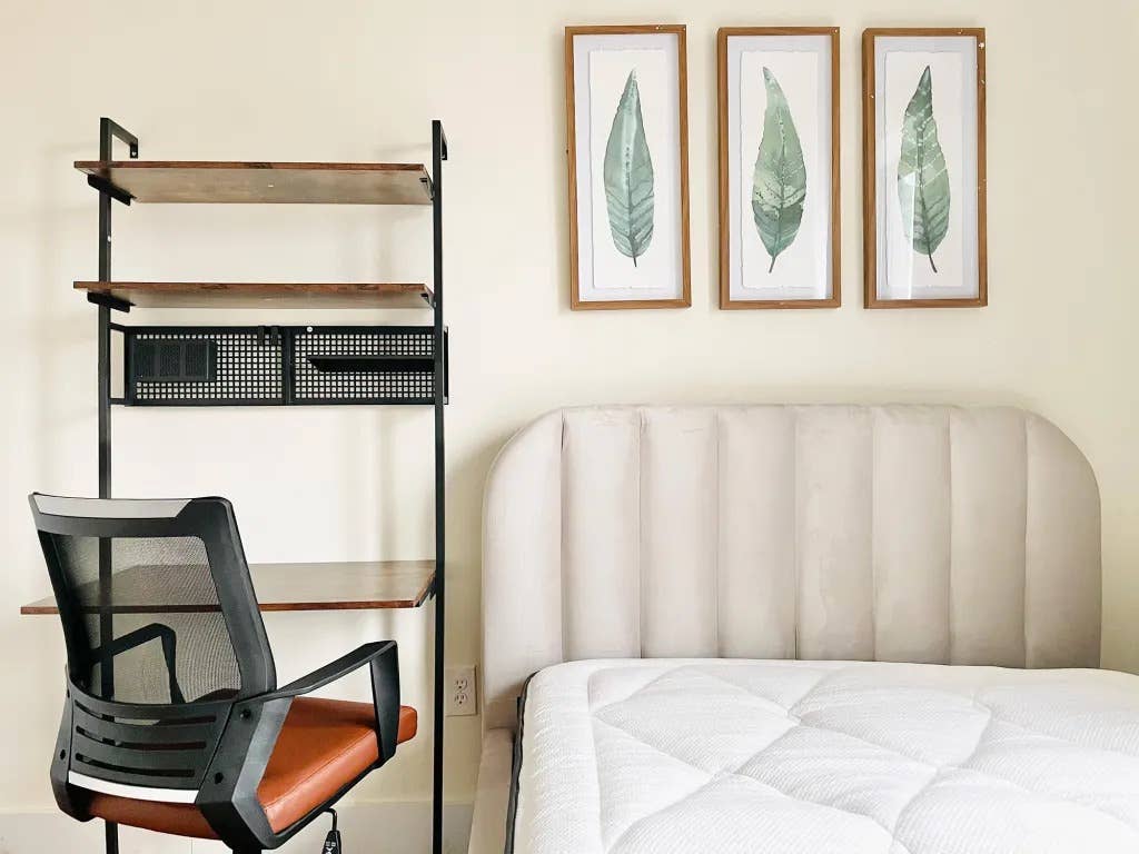 Room for Student or Professional