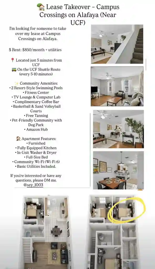 New Listing