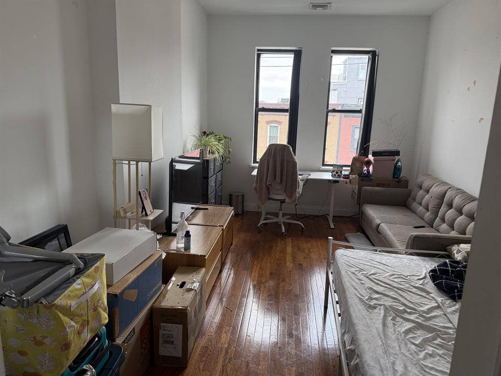 Roomate needed