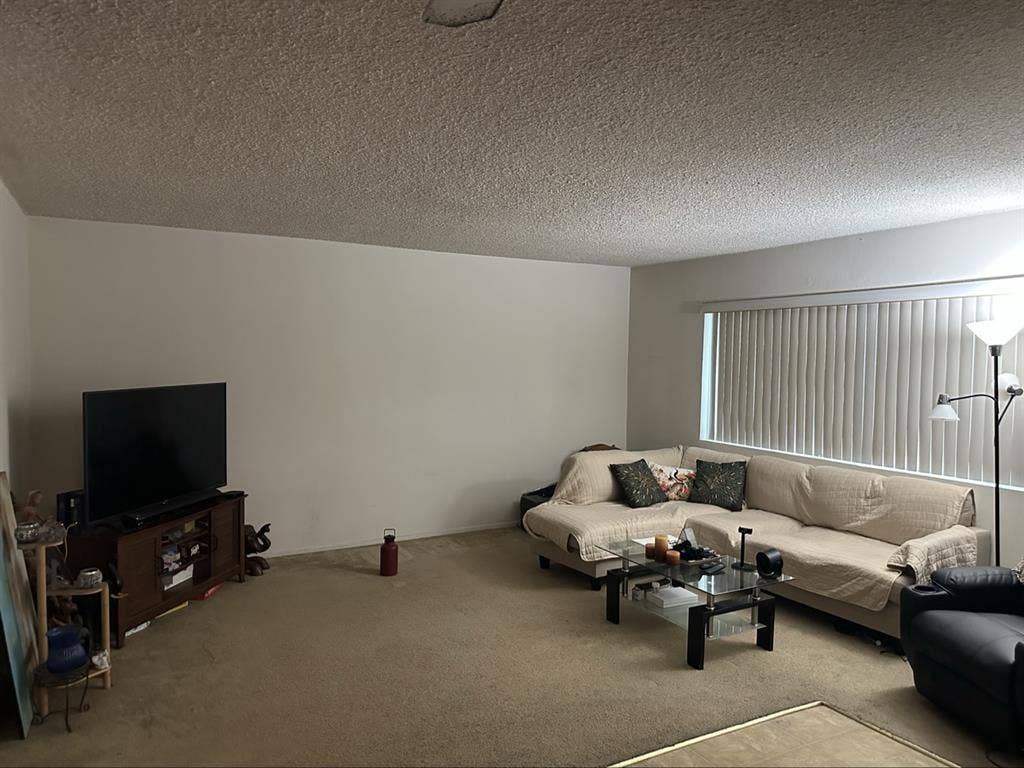Looking for a roommate