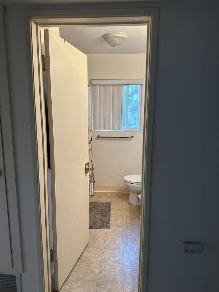 Looking for a roommate
