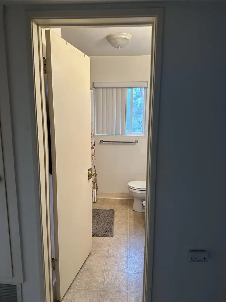 Looking for a roommate
