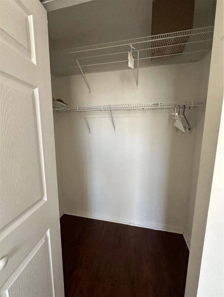 Looking for a roomate