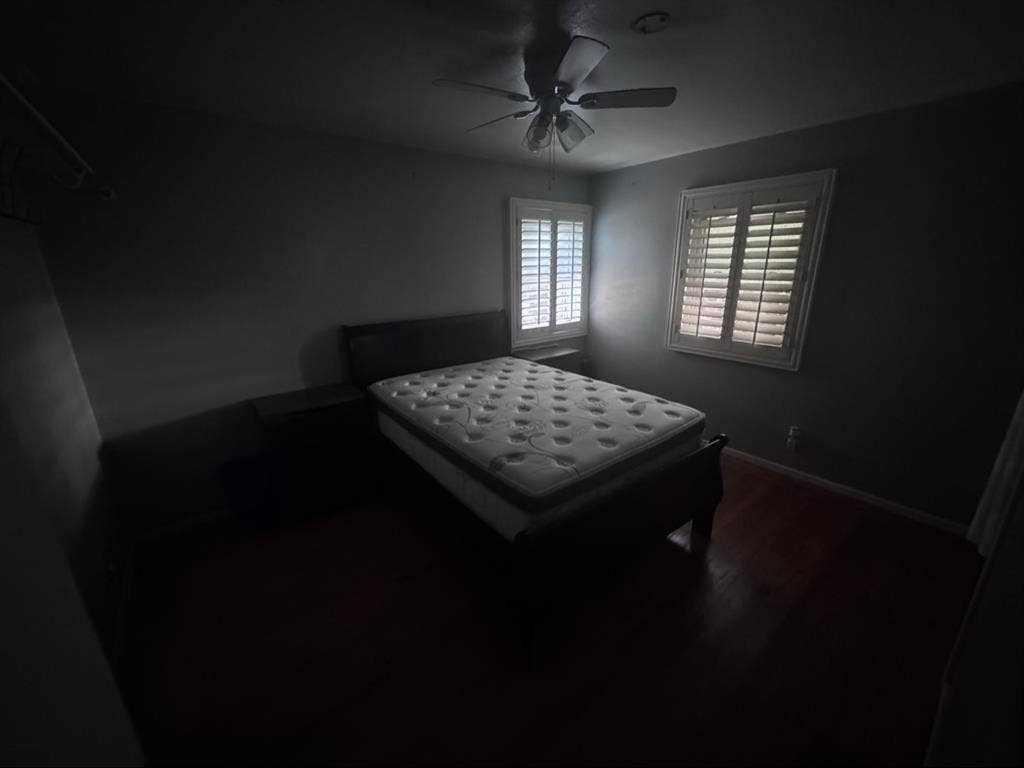 Friendly and Cozy House