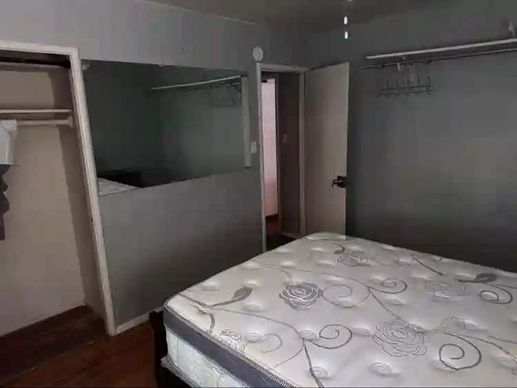 Friendly and Cozy House