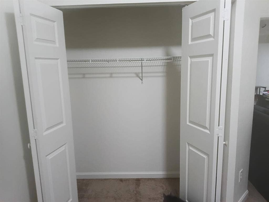 Need roommate asap