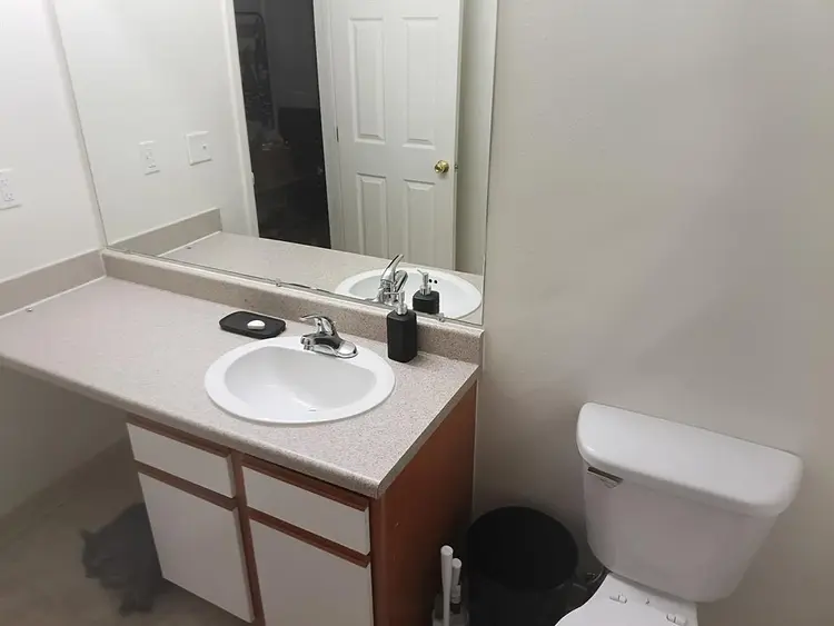 Need roommate asap