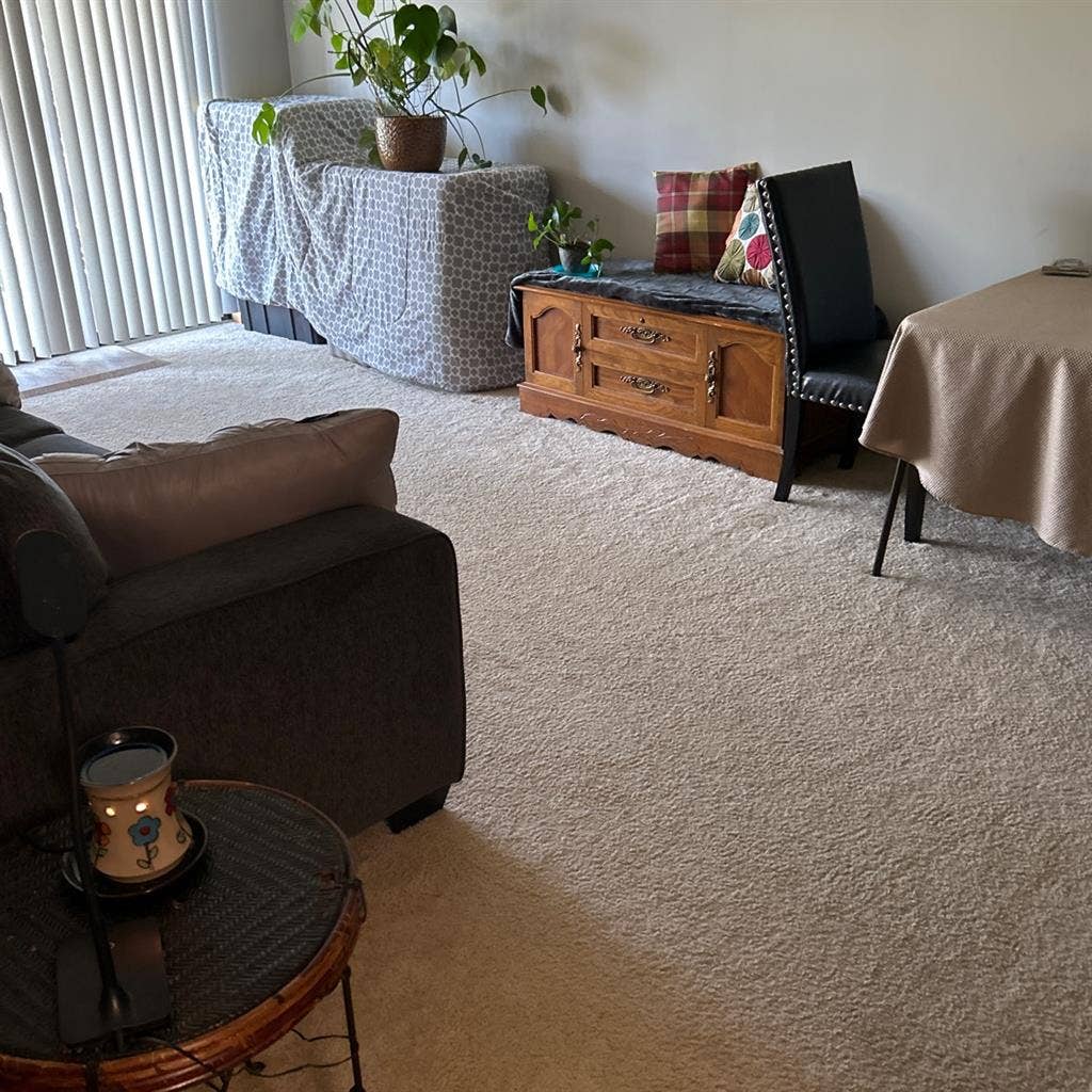 Need a roommate