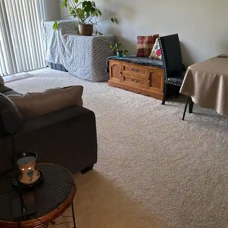 Need a roommate